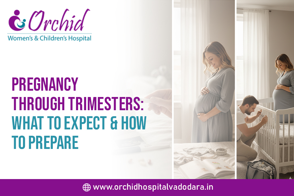 Pregnancy Through Trimesters: What to Expect & How to Prepare